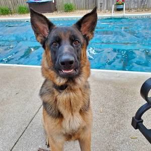 Meet your Posher, Justin